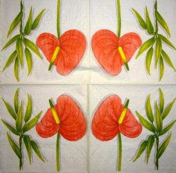 305 Flowers Others - 3-ply - Paper Design